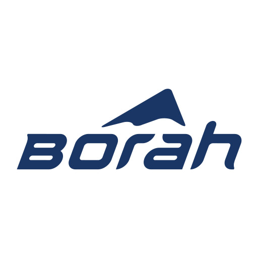 Borah logo