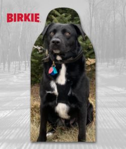Birkie Fan Cutouts