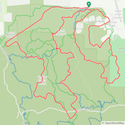 Half Marathon/Marathon Course Map