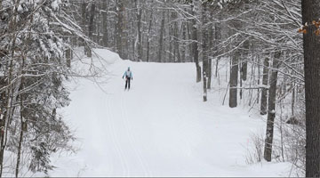MTV Ski Trails