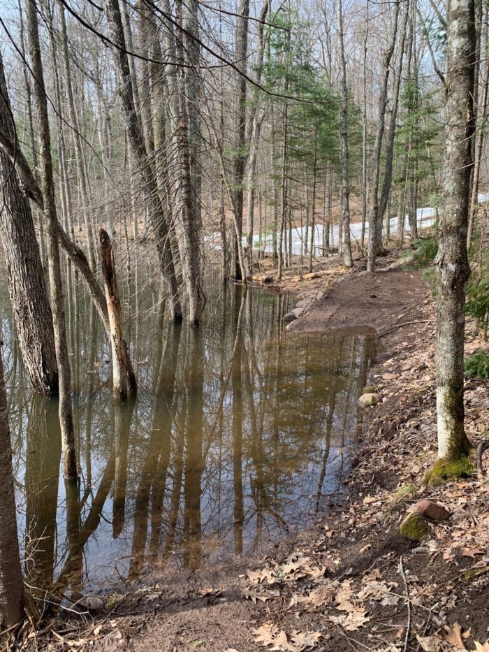 Mountain Bike Trail