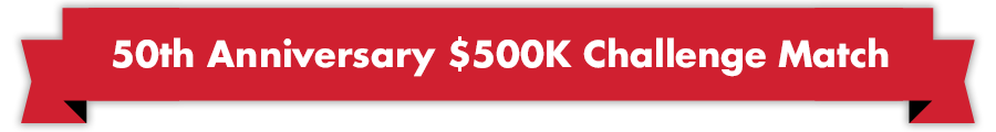 50th Anniversary $500K Challenge Match