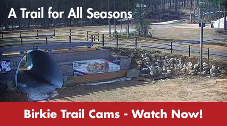 A Trail for All Seasons - Birkie Trail Cams - Watch Now!