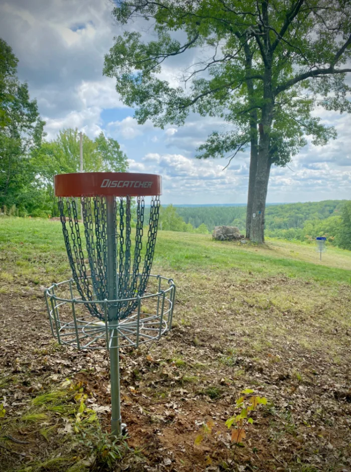 Disc golf basket