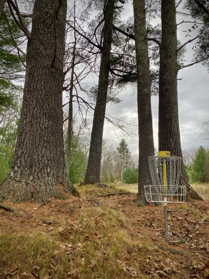 MTV Disc Golf Course Pic Pines