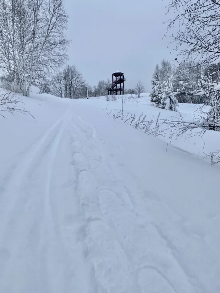 Snowshoe Kawabaming Tower