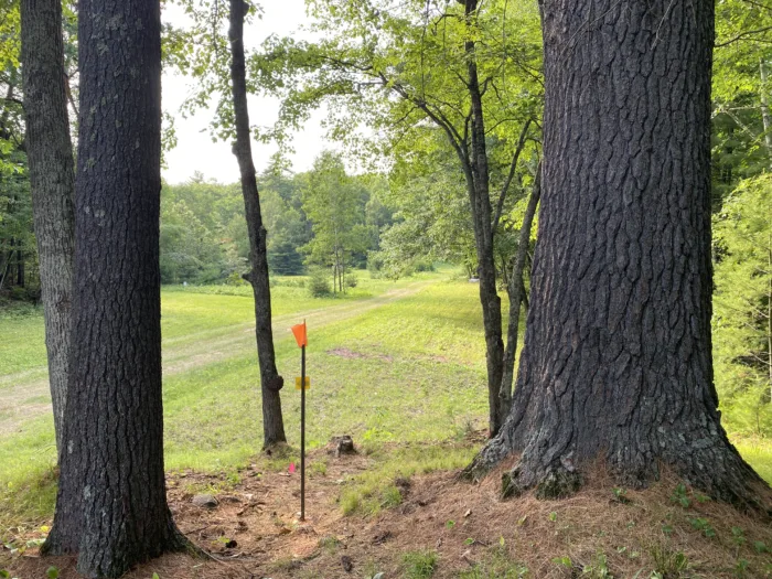 MTV Disc Golf Hole 3(1)