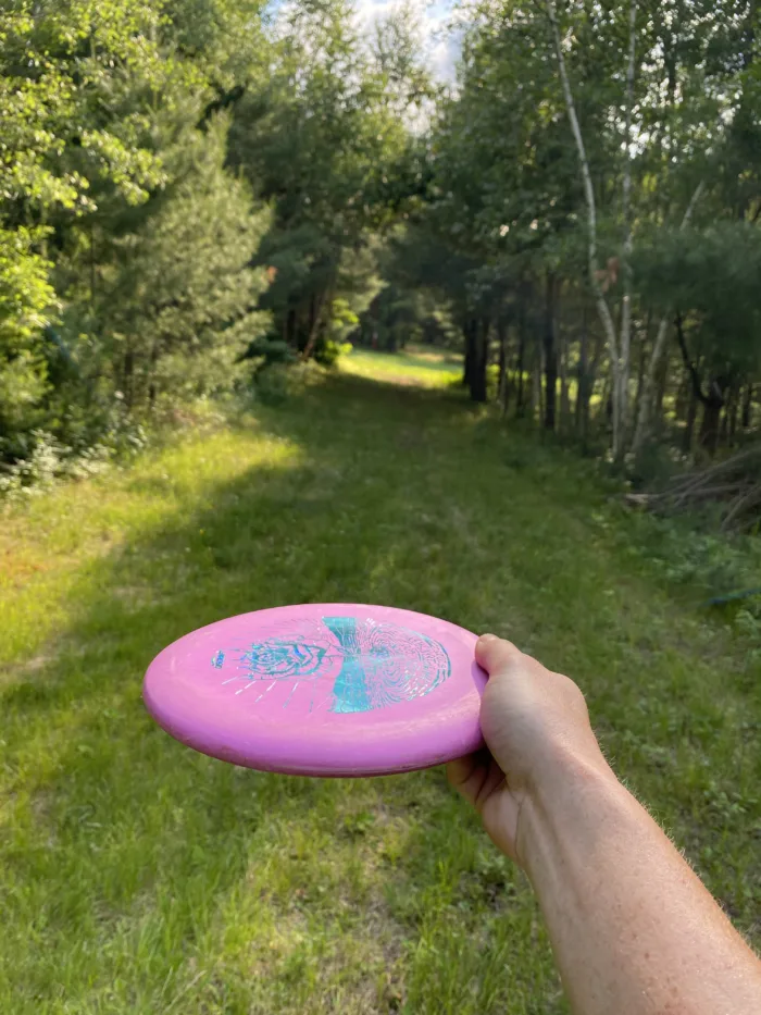 MTV Disc Golf Hole